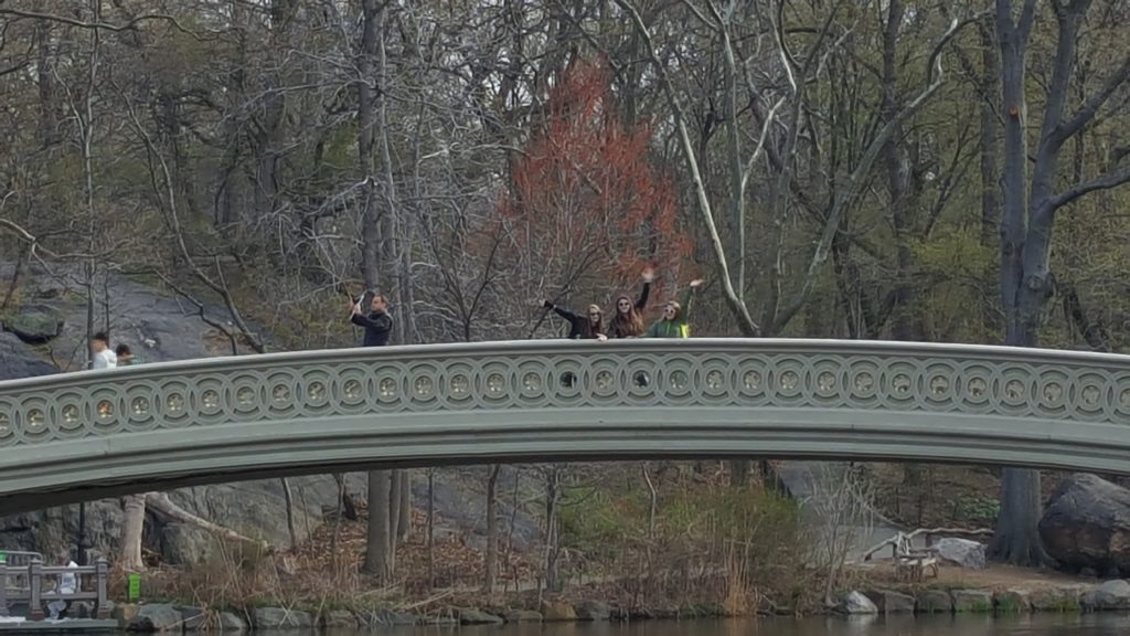 Central Park, New York City