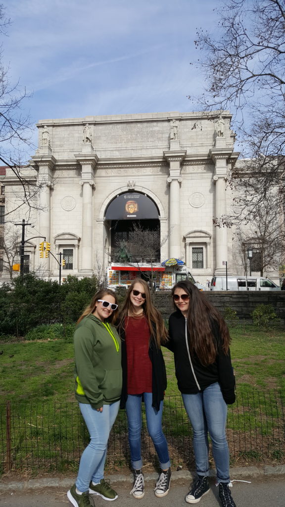 American Museum of Natural History, New York City