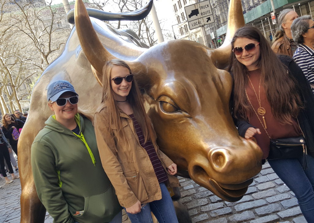 Wall Street Bull, New York City