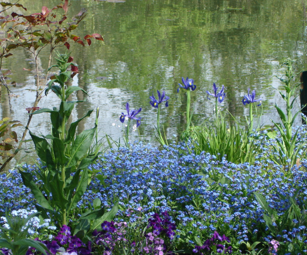 Lily pond and gardens, Monet's home, Giverny, France