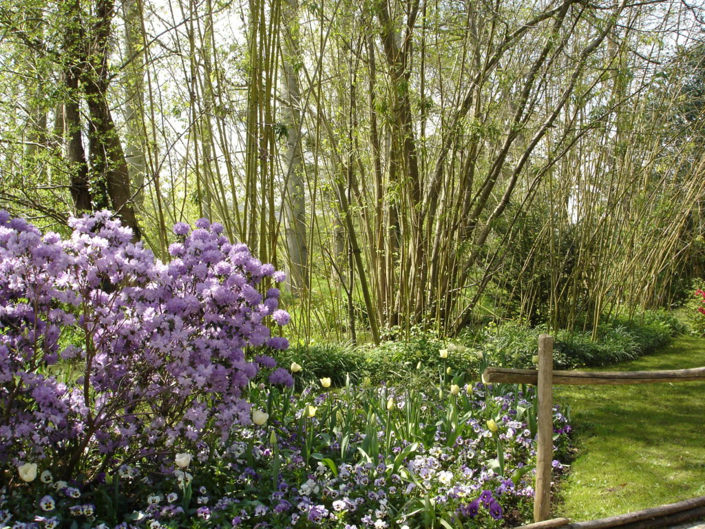 Monet's Gardens, Giverny, France